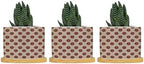 Timur in Blue Background Ceramic Planters Geometric Modern Planters for Indoor Plants with Drainage Holes and Saucers Pot for Succulents Cactus Garden Windowsill by BRUYU5SE