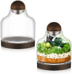 2 Pcs Glass Terrarium Container with Wooden Base and Decorative Ball Lid, 7 Inch DIY Terrarium Jar for Moss, Ferns, Air Plants and Succulents, Mini Indoor Garden Vase for Home Office Desk Decor by Sunnychicc
