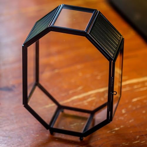 NCYP Mini Vented Glass Terrarium with Vent and Door for Jumping Spiders - Octagon Small Spider Enclosure, Black, Tabletop Decor, 5 x 2.3 x 7 Inches (Terrarium Only) - Image 6