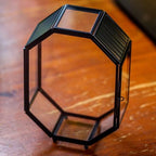 NCYP Mini Vented Glass Terrarium with Vent and Door for Jumping Spiders - Octagon Small Spider Enclosure, Black, Tabletop Decor, 5 x 2.3 x 7 Inches (Terrarium Only) - Image 6