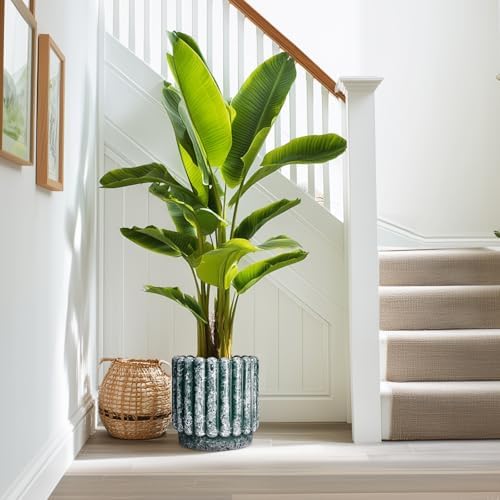 Ceramicfor Ceramic Plant Pot, 9.6 Inch, Green - Image 5