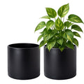 D'vine Dev 2-Pack Black Plastic Planters with Saucers, 8 in, 74-Y-M-1 by DvineDevPlanterPotsandStand