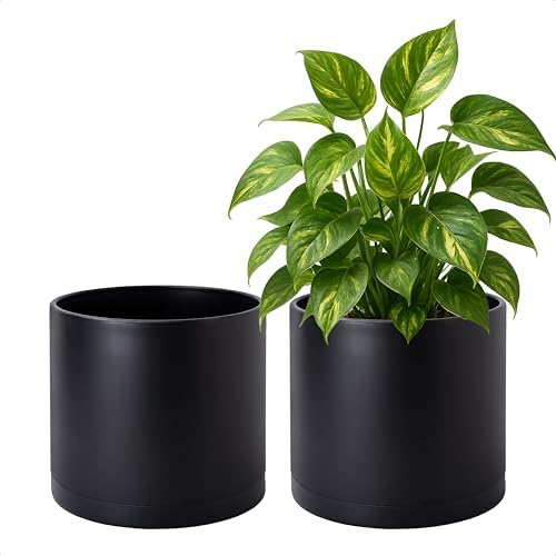 D'vine Dev 2-Pack Black Plastic Planters with Saucers, 8 in, 74-Y-M-1 by DvineDevPlanterPotsandStand