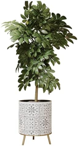 EverNest Tristan Neutral Minimal White and Black Modern Style Planter with Nyra Stand, SelectBase Plant Pots, Indoor Planter, Boho Home Decor, Minimalist Pot for Plants (Medium, Gold) by EverNest