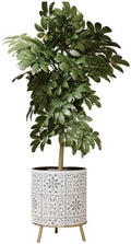 EverNest Tristan Neutral Minimal White and Black Modern Style Planter with Nyra Stand, SelectBase Plant Pots, Indoor Planter, Boho Home Decor, Minimalist Pot for Plants (Medium, Gold) by EverNest