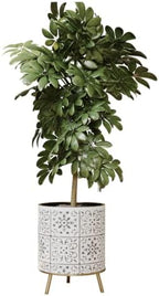 EverNest Tristan Neutral Minimal White and Black Modern Style Planter with Nyra Stand, SelectBase Plant Pots, Indoor Planter, Boho Home Decor, Minimalist Pot for Plants (Medium, Gold) by EverNest