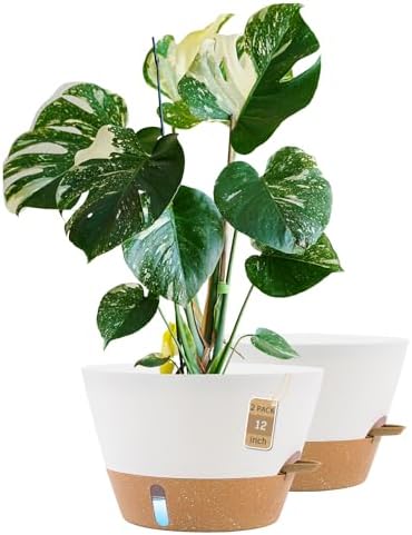 12 Inch Self Watering Pot with Visual Water Window, Drainage Holes & Watering Lip, Set of 2 Large Plastic Planters for Indoor Outdoor Plants, Modern Decorative Flower Pot (White) by FIASON