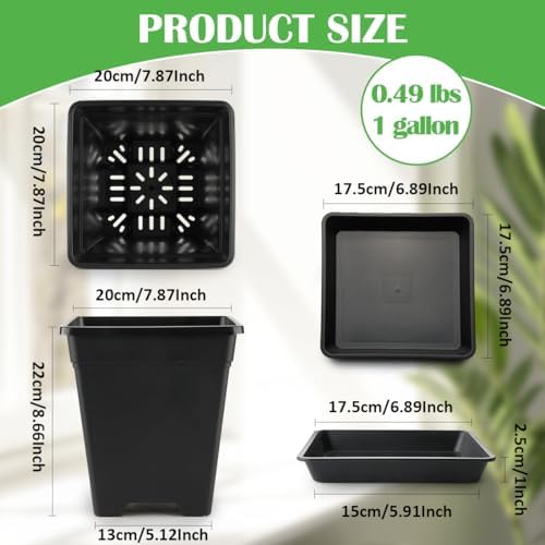 BTPLASTIK Square Plastic Planter 8 Inch, Plant Pots with Drainage Hole & Tray, 10 Pack Modern Decorative Garden Pot with Saucer, 1 Gallon Flower Pots Planters for Indoor Outdoor Plants - Image 3