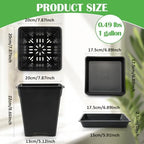 BTPLASTIK Square Plastic Planter 8 Inch, Plant Pots with Drainage Hole & Tray, 10 Pack Modern Decorative Garden Pot with Saucer, 1 Gallon Flower Pots Planters for Indoor Outdoor Plants - Image 3