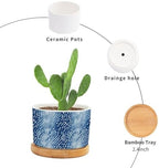 Animal Planters Ceramic White Blue Animal Strip Round Flower Pot with Drainage Holes and Bamboo Tray Pot for Home Office Desk Garden - Image 3