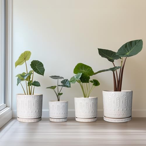 Eightpot Ceramic Planter, 6 Inch Pot for Plants with Drainage Holes and Tray, Round Plant Pots for Indoor Outdoor Plants, Boho Decorative Flower Pots, Home Room Decor, Gifts for Women, White - Image 7