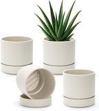 Phoenix Vine 6 Inch Planter Pot with Drainage Hole & Saucer, Deep Water Catch Tray, Straight Cylindrical Round Pot for Plants, Oatmeal, Pack of 4, 23-E-S-4 by Phoenix+Vine