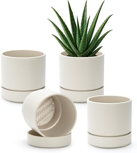 Phoenix Vine 6 Inch Planter Pot with Drainage Hole & Saucer, Deep Water Catch Tray, Straight Cylindrical Round Pot for Plants, Oatmeal, Pack of 4, 23-E-S-4 by Phoenix+Vine
