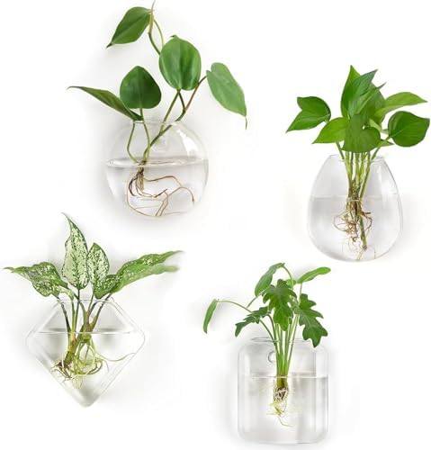 Mkono Wall Hanging Glass Terrariums Planter Flower Vase for Hydroponics Plants by Mkono