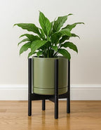 D'vine Dev Ceramic Pot with Ebony Wood Stand, Olive, 10 in, 55-B-L-J - Image 6