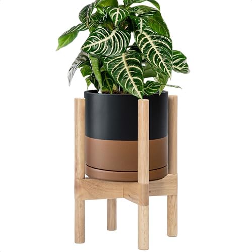 D'vine Dev Ceramic Pot with Natural Wood Stand, Black/Tan, 8 in, 55-B-N-7 by DvineDevPlanterPotsandStand