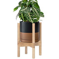 D'vine Dev Ceramic Pot with Natural Wood Stand, Black/Tan, 8 in, 55-B-N-7 by DvineDevPlanterPotsandStand
