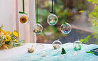 100 Pcs Tealight Holders Globes Fillable Acrylic: Bulk Hanging Tea Light Ball Bulb 3.15'' Ornaments Fillable for Party Wedding Centerpiece Christmas Home Decorations DIY - Image 3