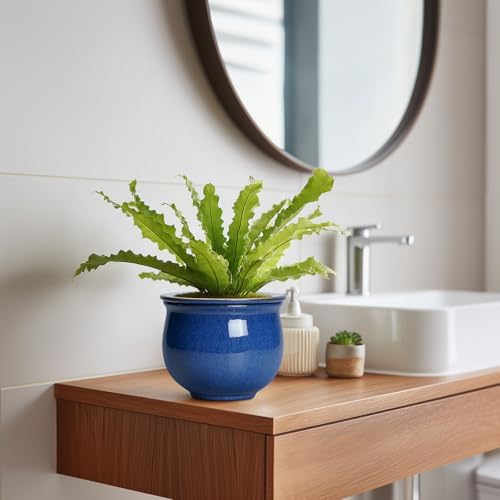 6 Inch Self Watering Pots, Ceramic African Violet Planter with Absorbent Inner Pot, Round Flower Pot for Indoor Plants, Ceramic Pots for Plants, Room Home Decor, Plant Lover Gifts, Blue - Image 5