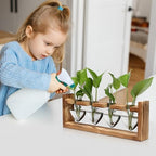 Plant Propagation Stations Heart Plant Terrarium Kit - Image 5