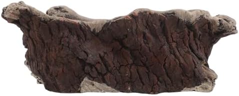 Vintage Cement Tree Root Planter for Desk and Home Bonsai by KONTONTY