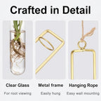METALLIXITY Hanging Clear Glass Hydroponic Plant Propagation Tube Vase 3Pcs - Image 3