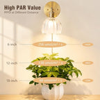 Grow Light for Indoor Plants, 12W Full Spectrum Wall Mounted Grow Light - Image 3