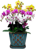 Orchid Pot with Holes and Saucer for Repotting and Better Grow, Teal, 7" by WWHomeDecor