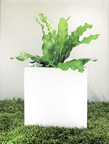 Indoor/Outdoor 7" Planter for Live or Artifical Plants (7.1" L x 7.1" W x 7.1" H, Metallic Bronze) - Image 2
