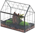 NCYP Geometric Glass Terrarium with Front Opening Door, House Shape Closed Micro Landscape Terrarium Planter for Moss, Fern, Small Tropical Plants, Cacti - Home Indoor Tabletop Decor (No Plants) by NCYP