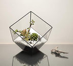 WGV Geometric Planter Terrarium, Width 11.5" Height 12" Clear Glass Black Frame DIY Succulent air Plant Miniature Fairy Garden Windowsill Tabletop Decor, Tilted Cube 1 Piece - Image 7