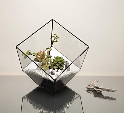 WGV Geometric Planter Terrarium, Width 11.5" Height 12" Clear Glass Black Frame DIY Succulent air Plant Miniature Fairy Garden Windowsill Tabletop Decor, Tilted Cube 1 Piece - Image 7
