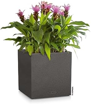 Lechuza Canto Stone Low 30 Graphite Black, Self-Watering Square Planter, H11.8 L11.8 W11.8 in - Image 2