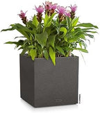 Lechuza Canto Stone Low 30 Graphite Black, Self-Watering Square Planter, H11.8 L11.8 W11.8 in - Image 2