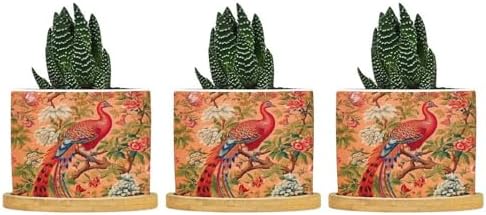Blush Chinoiserie Bird Planter Ceramic Hydrangea Peacock in Coral Round Plant Pots with Drainage Holes and Bamboo Tray Pot for Home Desktop Office Windowsill by BRUYU5SE