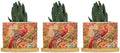 Blush Chinoiserie Bird Planter Ceramic Hydrangea Peacock in Coral Round Plant Pots with Drainage Holes and Bamboo Tray Pot for Home Desktop Office Windowsill by BRUYU5SE