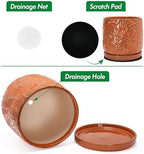 D'vine Dev Embossed Leaves Ceramic Planter, 8 in, Pumpkin, 27-A-Q-J - Image 4