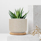 Brown Leopard Print Planters Ceramic African Animal Stripe Round Plant Pot with Drainage Holes and Bamboo Tray Pot for Succulents Cactus Garden Windowsill - Image 7
