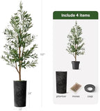 Artificial Tree in Optional Designed Pot, Fake Olive Silk Tree for Indoor and Outdoor Home Decoration - 68" Overall Tall (Plant Pot Plus Tree) - Image 5