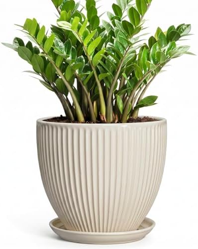 Ceramic Plant Pots, 10 Inch Pots for Plants with Saucer, Cream White by Unknown