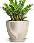 Ceramic Plant Pots, 10 Inch Pots for Plants with Saucer, Cream White by Unknown