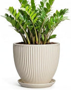 Ceramic Plant Pots, 10 Inch Pots for Plants with Saucer, Cream White by Unknown
