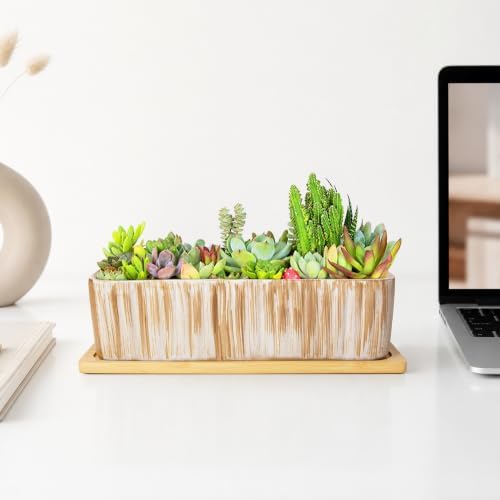 Succulent Pots, 12'' Long Rectangle Planters with Tray, Windowsill Planter - Image 4