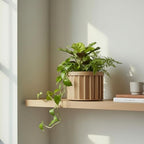MD Round Strata Planter in Beige Brown - Ceramic Planter with Modern Aesthetic for Succulents and Small Plants - Image 4