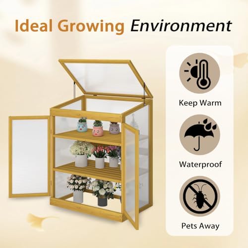 Mini Greenhouse Cold Frame, Wooden Polycarbonate Garden Greenhouse Cabinet 2-Tier Outdoor Plant Shelter for Seedlings Vegetables and Backyard Gardening Space - Image 5