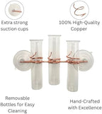 3 Lily Window Plant Propagator- Window Propagation Station with Removable Glass Test Tubes for Indoor Clippings, Cut Flowers, Herbs, Succulents | Home Decor | Plant Lover Gift (3 Lily) - Image 3