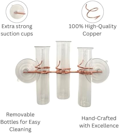 3 Lily Window Plant Propagator- Window Propagation Station with Removable Glass Test Tubes for Indoor Clippings, Cut Flowers, Herbs, Succulents | Home Decor | Plant Lover Gift (3 Lily) - Image 3