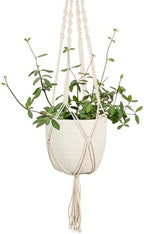 Scheurich Corteza Sky Pimienta Ceramic 6.1" Hanging Planter – with 35.4" Macramé Hanger - Waterproof - Boho Decorative Hanging Basket for Indoor Plants, Succulents&Flowers - Made in Germany - 0.7 gl by Scheurich