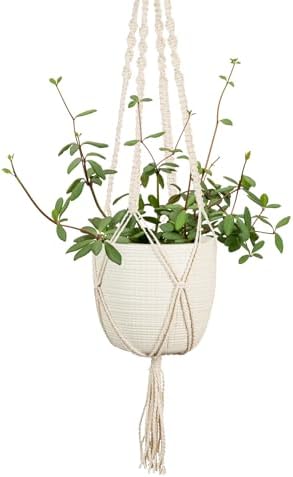 Scheurich Corteza Sky Pimienta Ceramic 6.1" Hanging Planter – with 35.4" Macramé Hanger - Waterproof - Boho Decorative Hanging Basket for Indoor Plants, Succulents&Flowers - Made in Germany - 0.7 gl by Scheurich