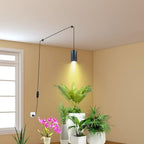 Plant Hanging Grow Light Full Spectrum Warm White Color with Timer, Plug-in Pendant Grow Lights,Large Black Luxury LED Grow Lights,Indoor Pendant lamp - Image 4
